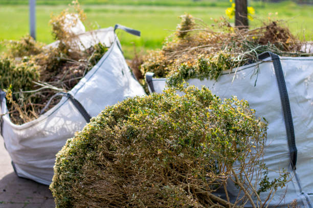 Best Commercial Junk Removal  in Easton, PA